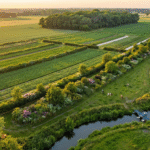 Sustainable Agriculture: The Future of Farming in India